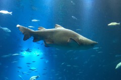 IMG_2695