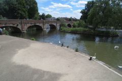 image008