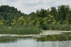 IMG_3235