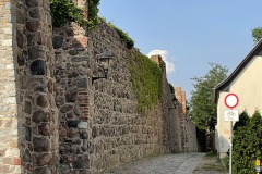 IMG_3195