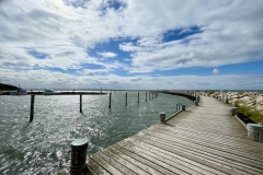 IMG_E4079