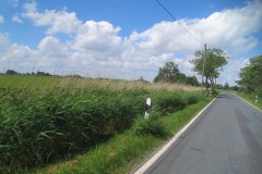IMG_6958