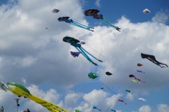 IMG_6966