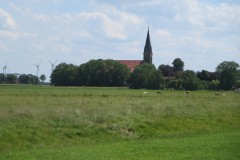 IMG_6975