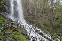 IMG_4402