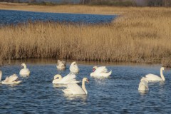 IMG_6315