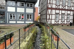 IMG_5731