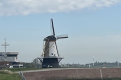 IMG_6193