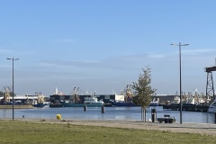 IMG_6251