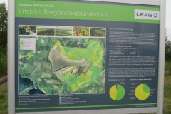 IMG_8081