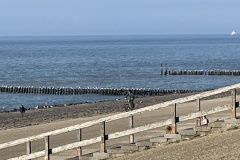 IMG_6040