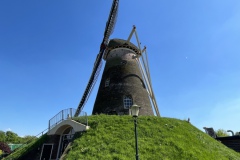 IMG_8330