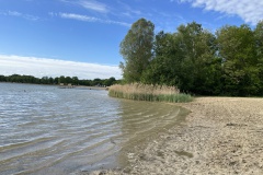 IMG_8415