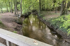 IMG_8341