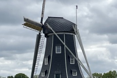IMG_8419