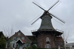 IMG_7531