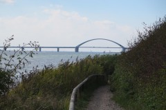 IMG_4966
