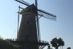 IMG_9878