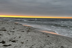 IMG_4753