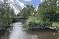 IMG_8232